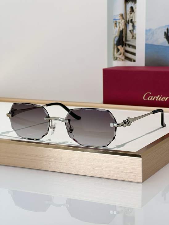 Picture of Cartier Sunglasses _SKUfw79279935fw